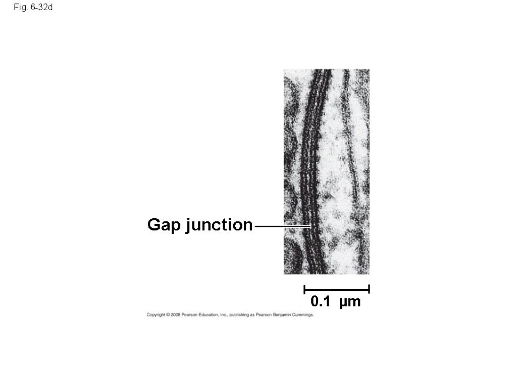 Fig. 6-32d Gap junction 0.1 µm